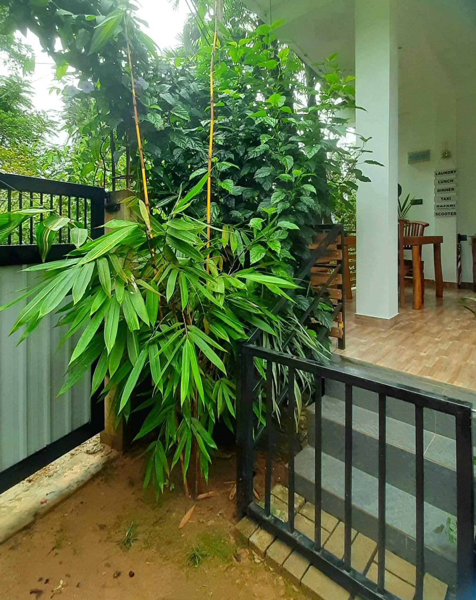Dhanudi Homestay Ella Exterior photo
