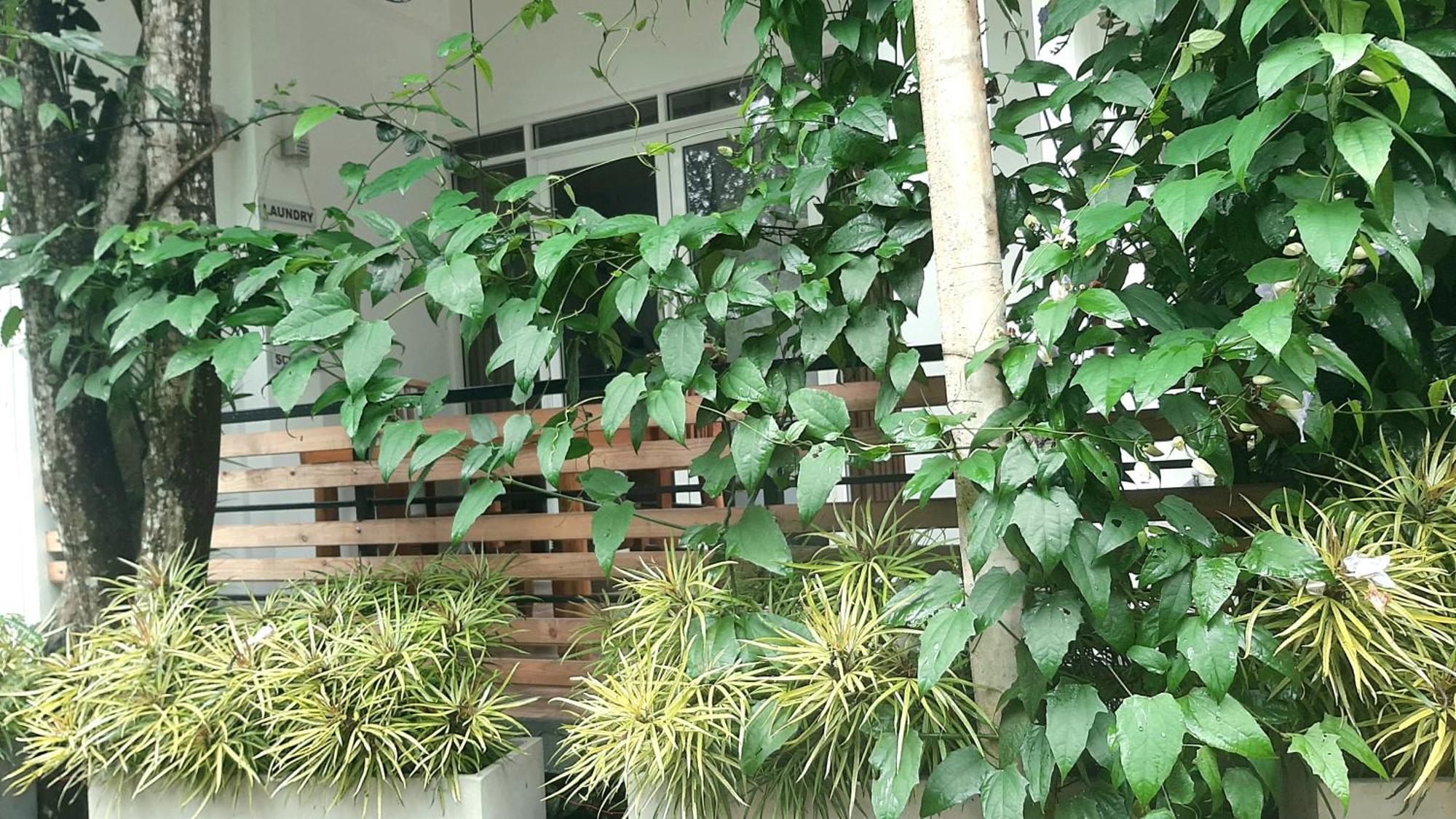 Dhanudi Homestay Ella Exterior photo